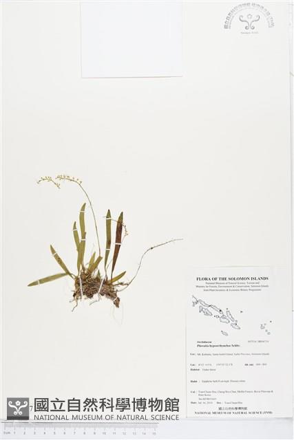 登錄號:BS04719藏品圖，第1張