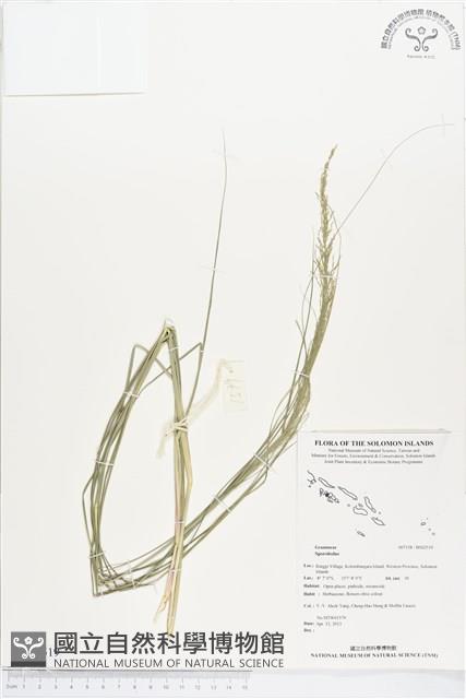 登錄號:BS02519藏品圖，第1張