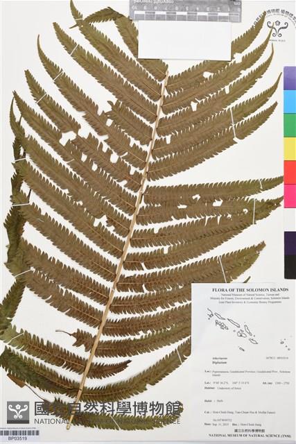 登錄號:BP03519藏品圖，第1張