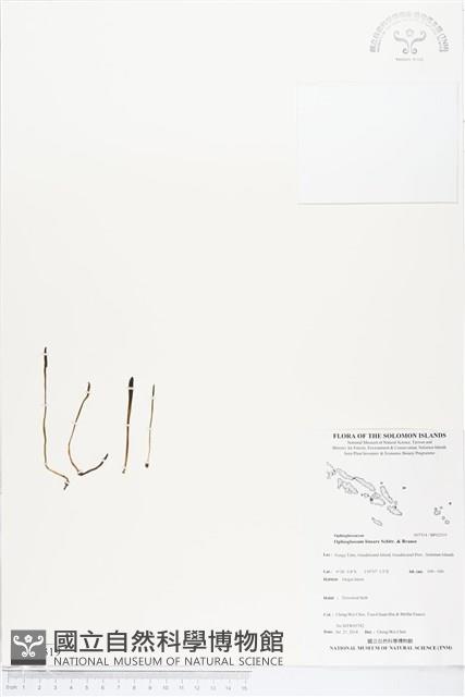 登錄號:BP02319藏品圖，第1張