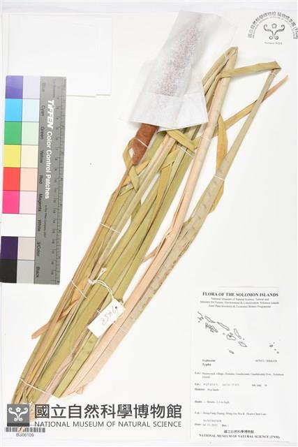 登錄號:BS06109藏品圖，第1張