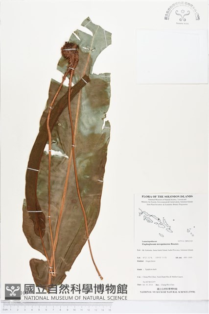 登錄號:BP02109藏品圖，第1張