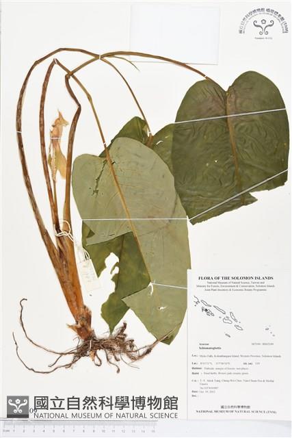 登錄號:BS02109藏品圖，第1張