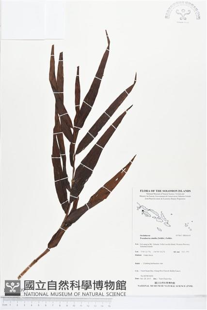 登錄號:BS04109藏品圖，第1張