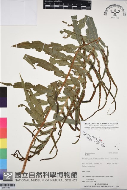 登錄號:BP03109藏品圖，第1張