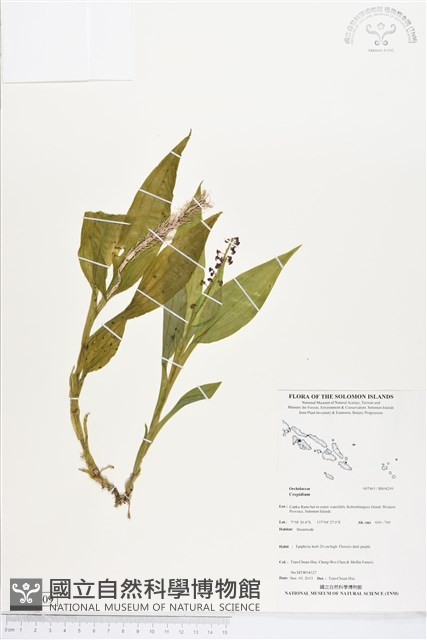 登錄號:BS04209藏品圖，第1張