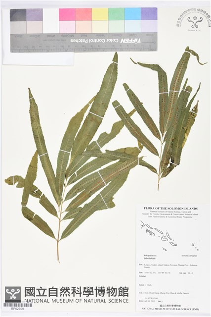 登錄號:BP02709藏品圖，第1張