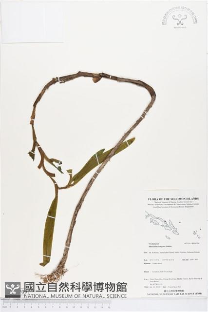 登錄號:BS04709藏品圖，第1張