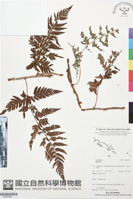 登錄號:BP03509藏品圖，第1張