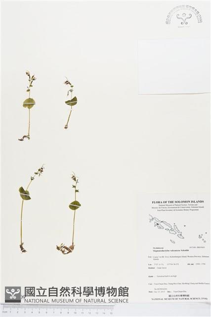 登錄號:BS03909藏品圖，第1張