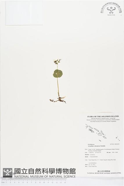 登錄號:BS02039藏品圖，第1張