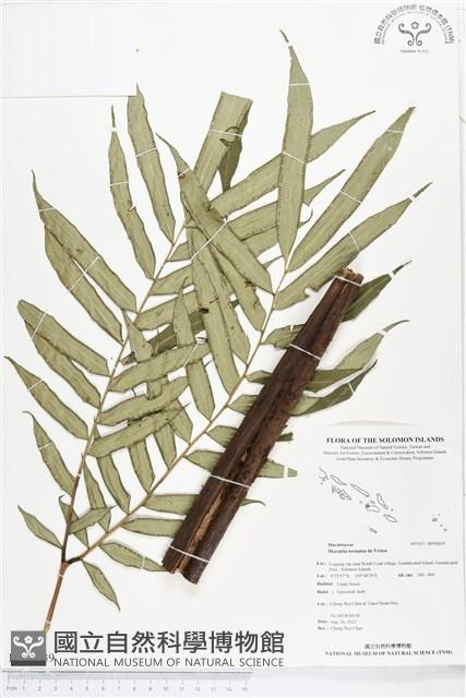 登錄號:BP00039藏品圖，第1張