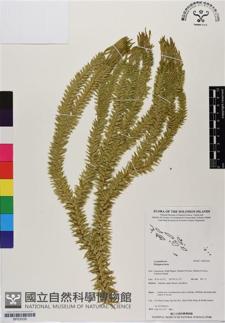 登錄號:BP03039藏品圖，第1張