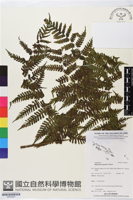 登錄號:BP02639藏品圖，第1張