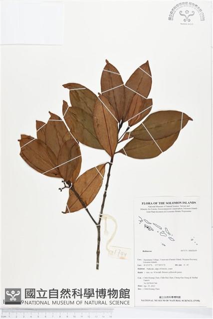 登錄號:BS02639藏品圖，第1張