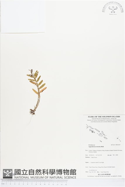 登錄號:BS03639藏品圖，第1張