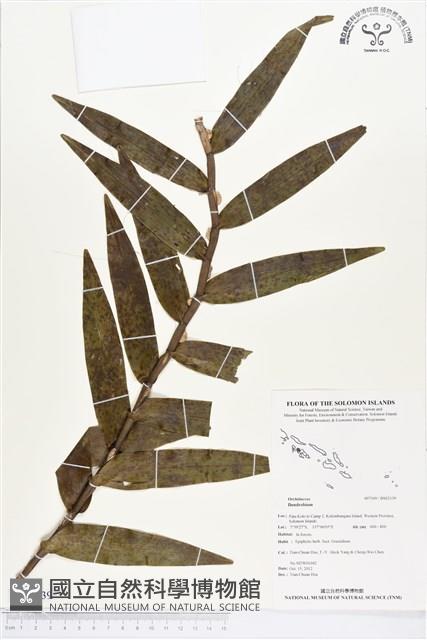 登錄號:BS02139藏品圖，第1張