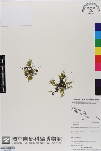 登錄號:BP03139藏品圖，第1張