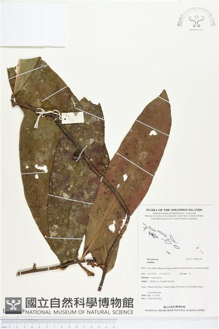 登錄號:BS03139藏品圖，第1張