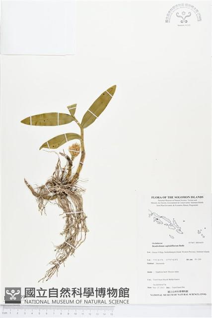 登錄號:BS04439藏品圖，第1張