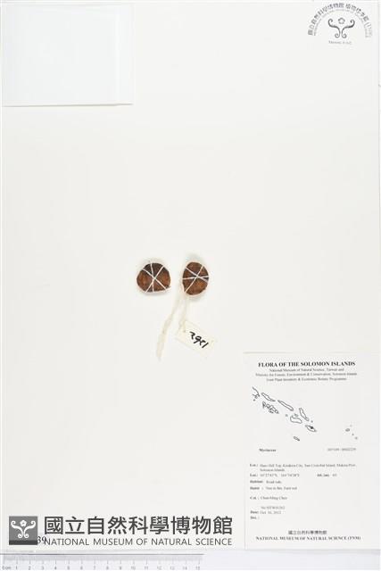 登錄號:BS02239藏品圖，第1張