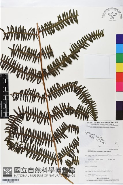 登錄號:BP02739藏品圖，第1張