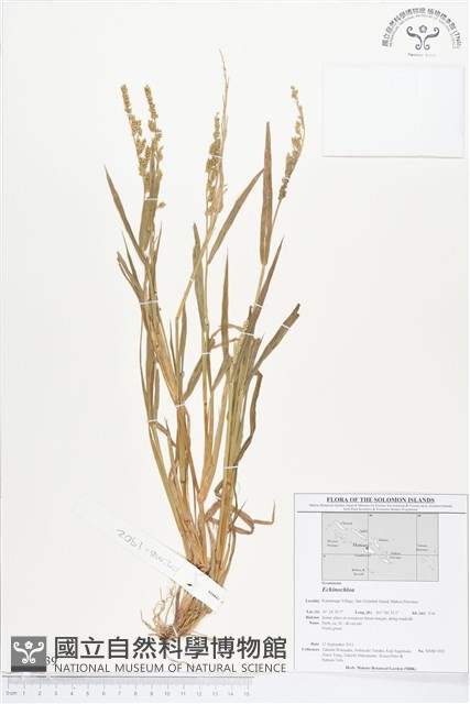 登錄號:BS01739藏品圖，第1張