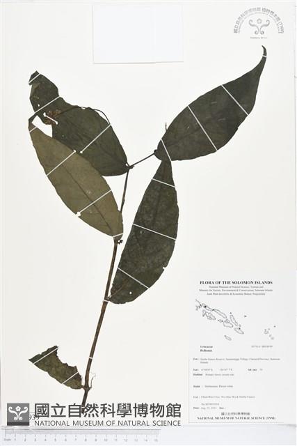 登錄號:BS04939藏品圖，第1張