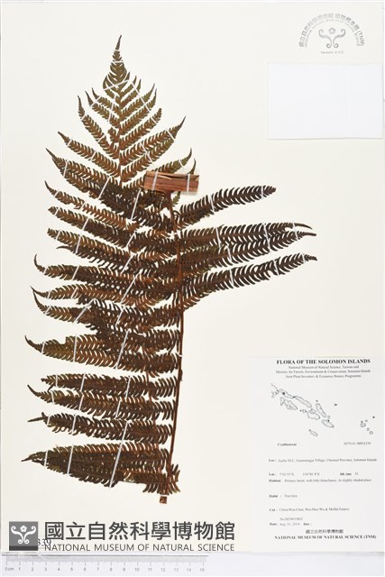 登錄號:BP02339藏品圖，第1張