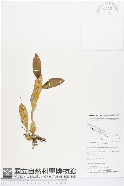 登錄號:BS04339藏品圖，第1張