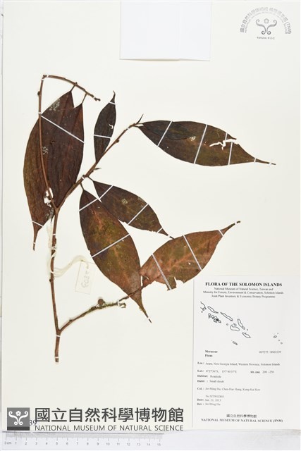 登錄號:BS03339藏品圖，第1張