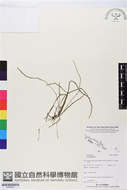 登錄號:BS05828藏品圖，第1張