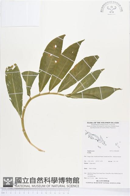 登錄號:BS04828藏品圖，第1張