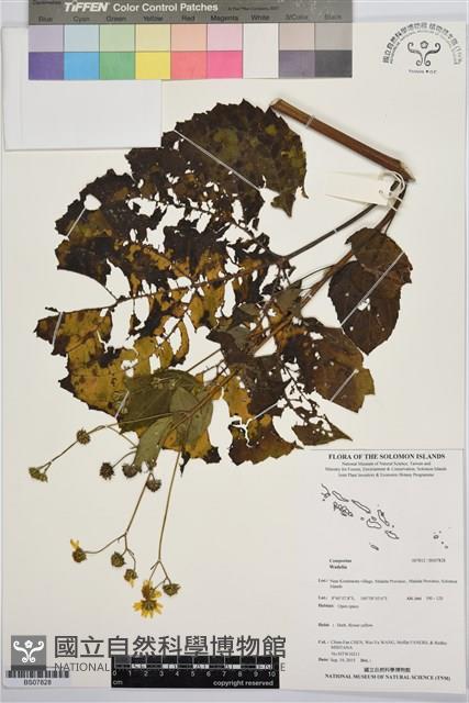 登錄號:BS07828藏品圖，第1張