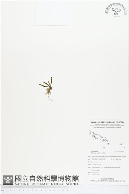 登錄號:BS02028藏品圖，第1張