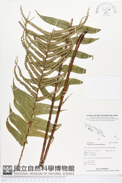 登錄號:BP01028藏品圖，第1張