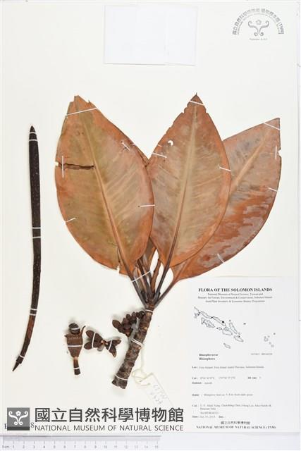 登錄號:BS04028藏品圖，第1張