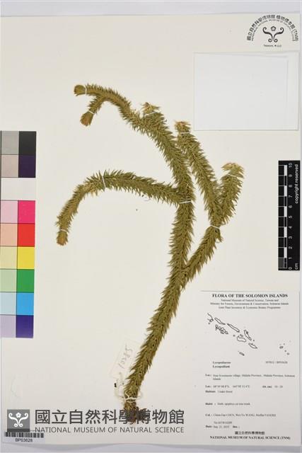 登錄號:BP03628藏品圖，第1張