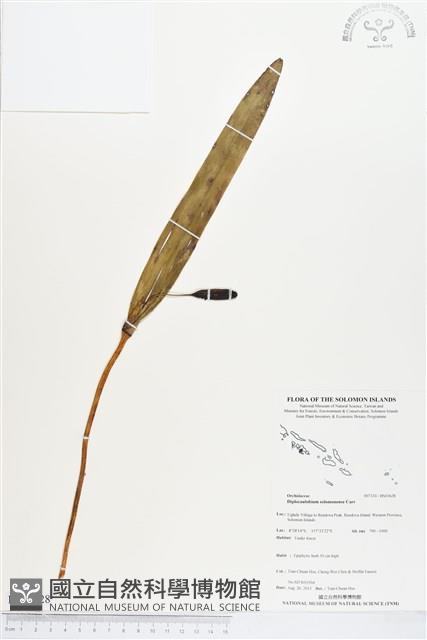 登錄號:BS03628藏品圖，第1張