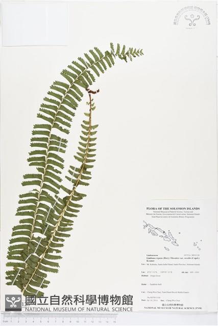 登錄號:BP02128藏品圖，第1張