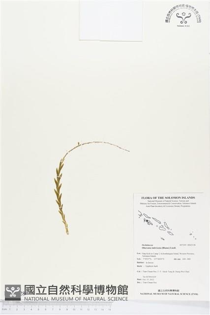 登錄號:BS02128藏品圖，第1張