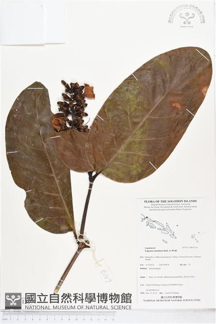 登錄號:BS05128藏品圖，第1張