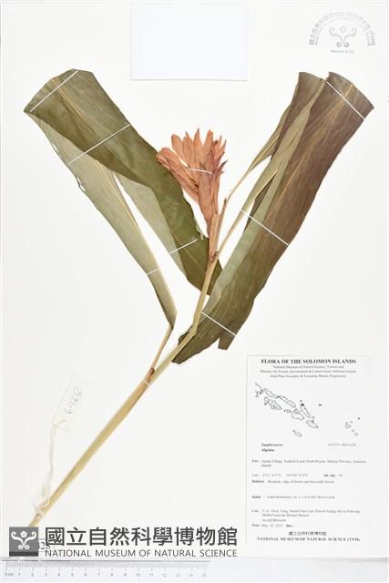 登錄號:BS05428藏品圖，第1張