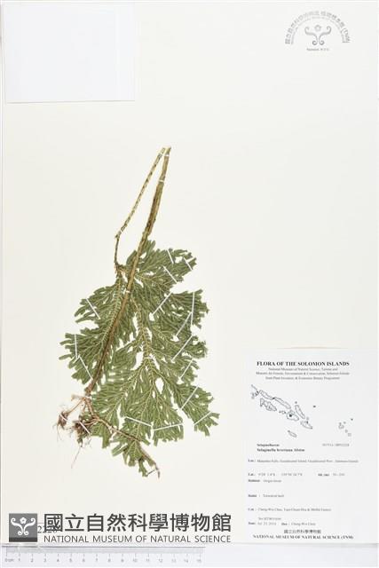 登錄號:BP02228藏品圖，第1張