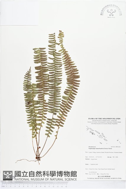登錄號:BP01228藏品圖，第1張