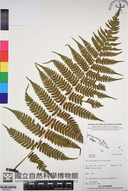 登錄號:BP03228藏品圖，第1張