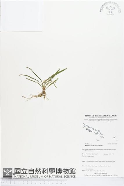 登錄號:BS03528藏品圖，第1張