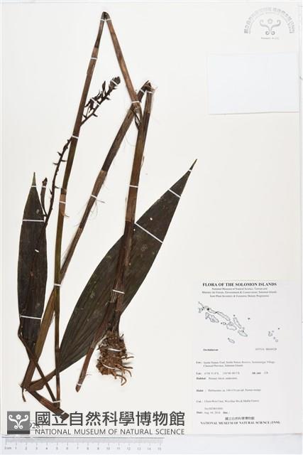 登錄號:BS04928藏品圖，第1張