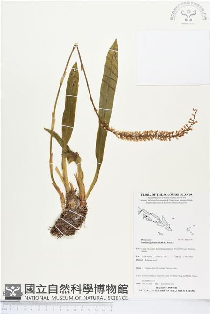 登錄號:BS03928藏品圖，第1張