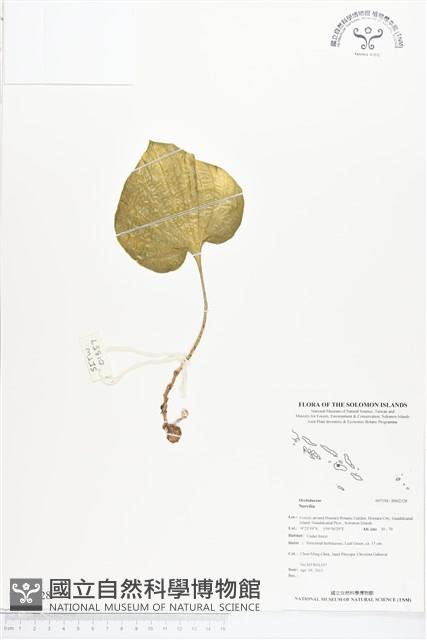 登錄號:BS02328藏品圖，第1張